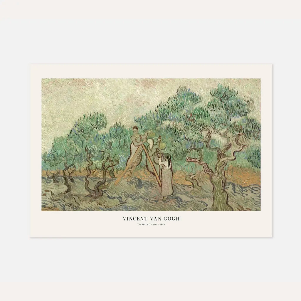 Póster Vincent van Gogh – Olivar 1889