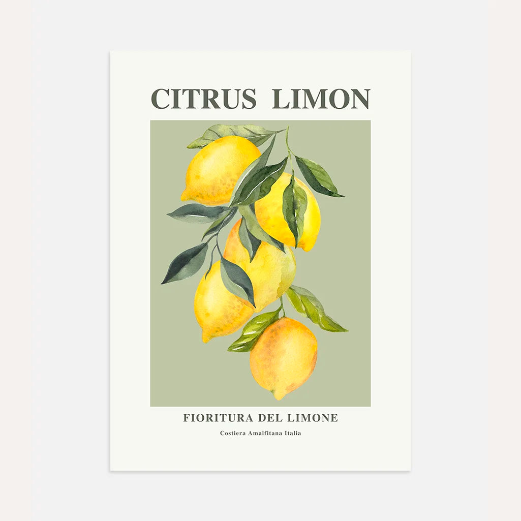 Póster Rama de Limones