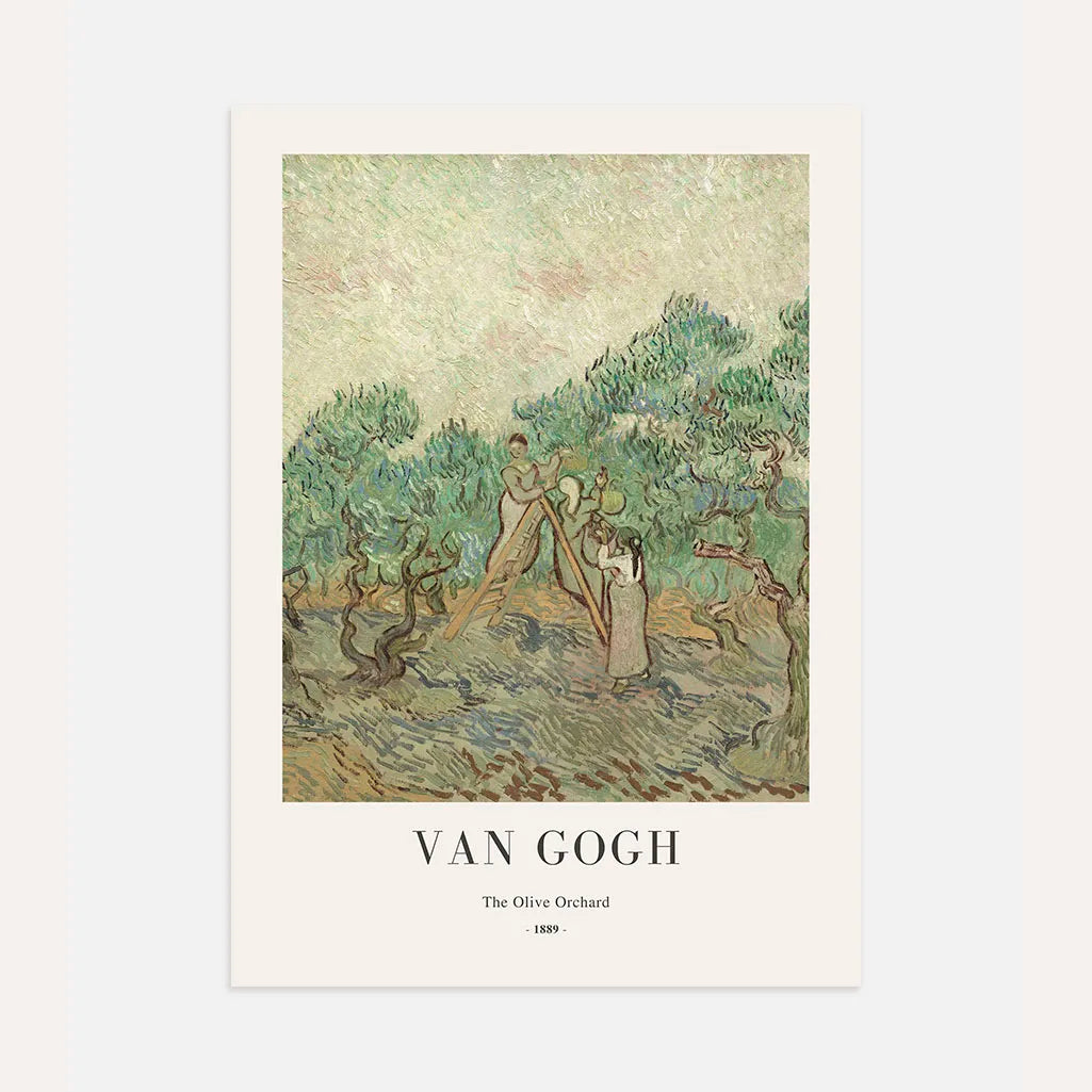 Póster Vincent van Gogh – Olivar 1889