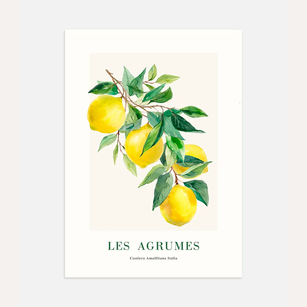 Póster Limones Amalfi 