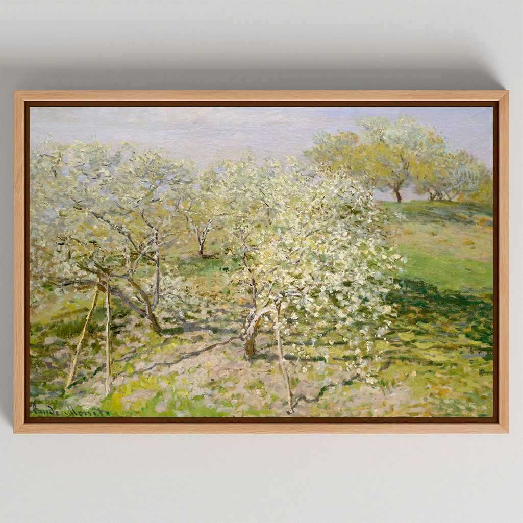Lienzo enmarcado - Primavera Árboles frutales en flor