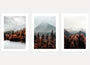 Autumn alpine mountain poster set of 3 with misty forest wall art