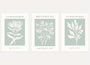 sage green botanical silhouette poster set wall art for living room decor