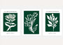 white botanical poster set dark green wall art for living room decor