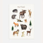 forest animals educational poster kids wall art