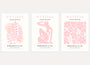 henri matisse poster set of 3 pastel pink beige floral figure wall art