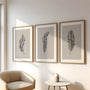 neutral feather wall art set of 3 black beige scandinavian minimalist interior decor