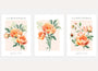 peach floral poster set wall art for living room decor