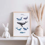 underwater whales poster nursery ocean decor