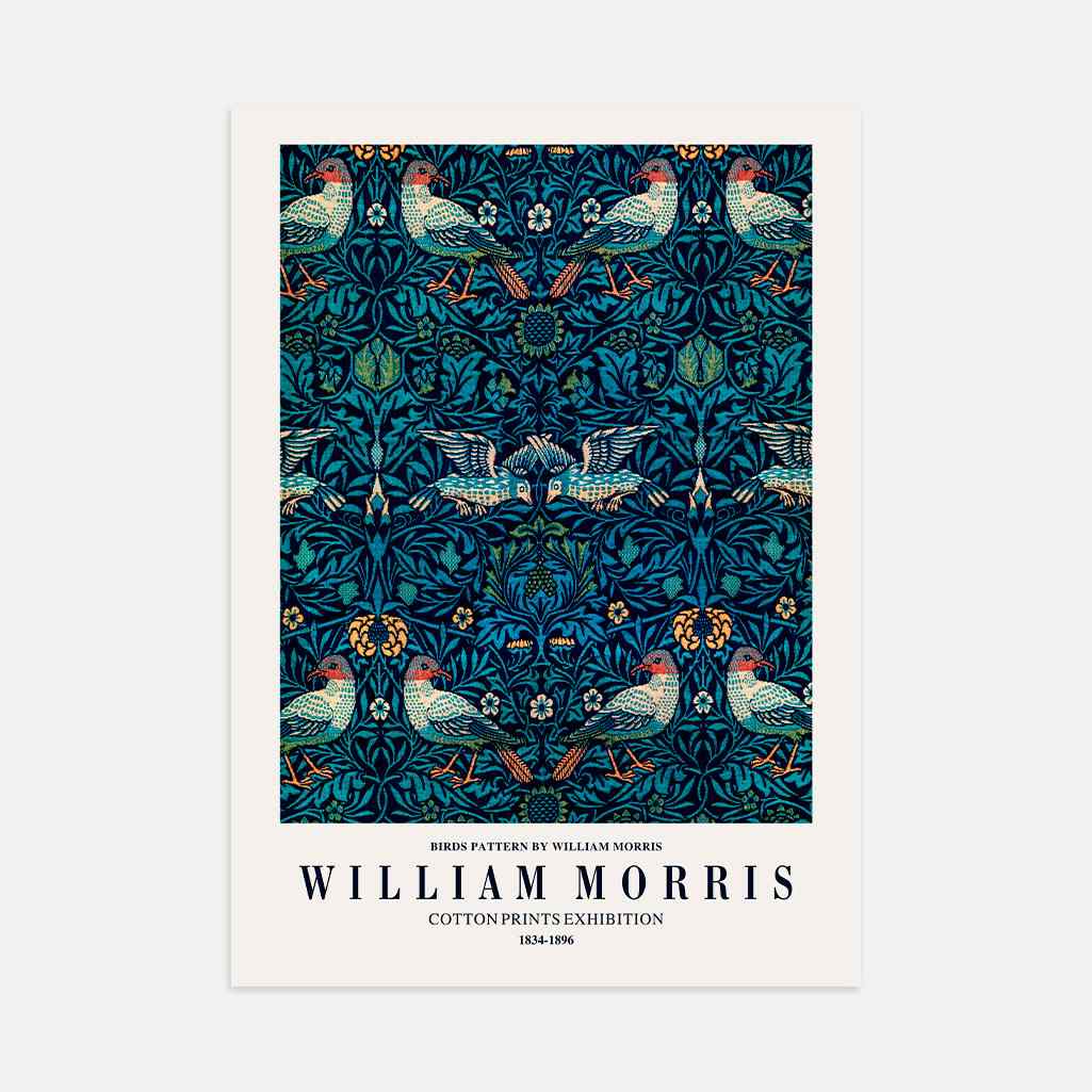 Póster – Aves Ornamentales
